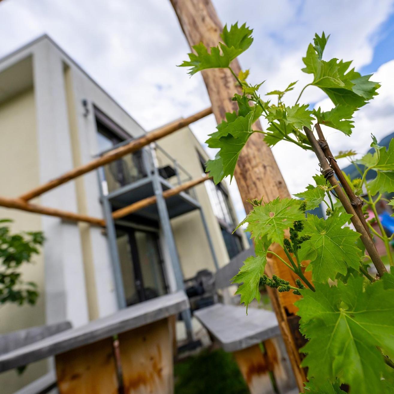 Appartement Biohof Gala à Naturns Extérieur photo